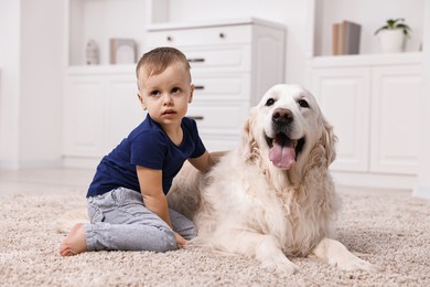 Little boy with cute dog on carpet at home