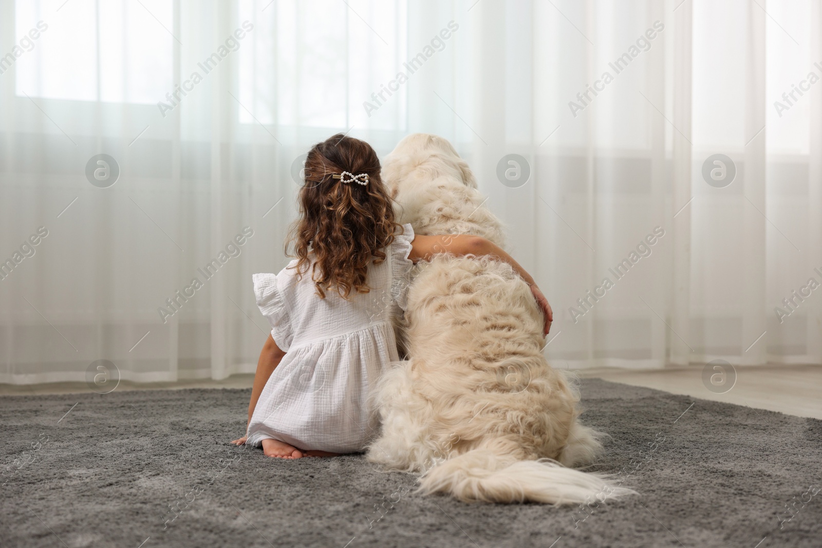 Photo of Little girl with cute dog on carpet at home, back view