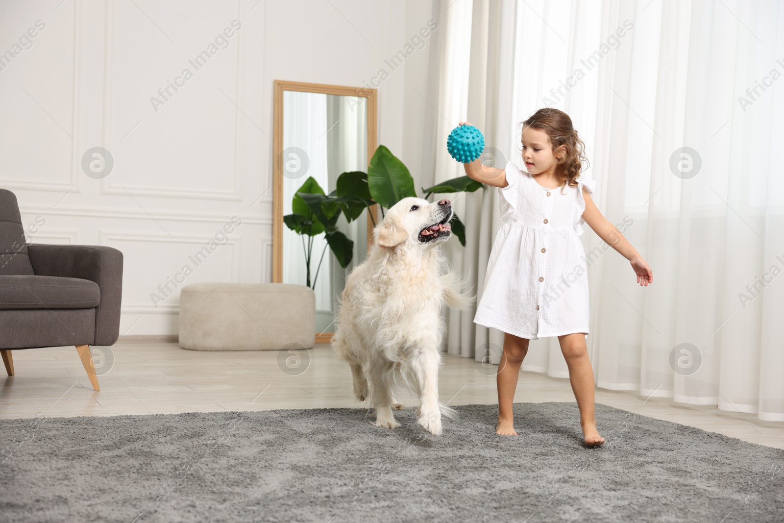 Photo of Little girl playing with cute dog at home, space for text