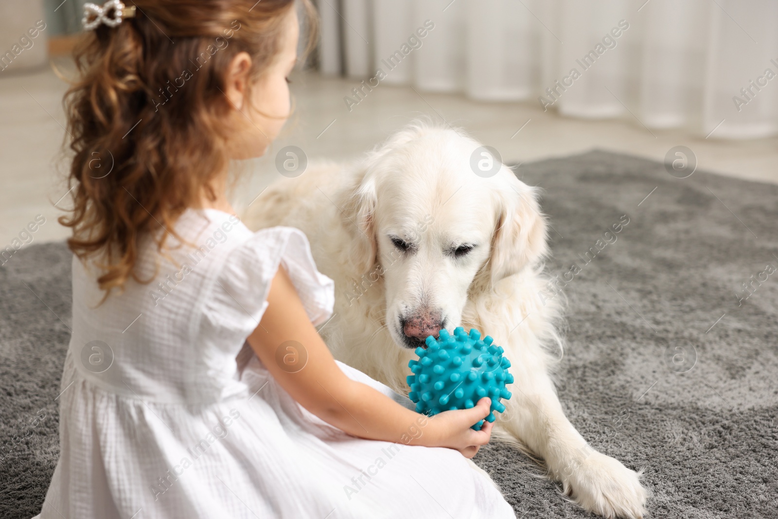 Photo of Little girl playing with cute dog on carpet at home