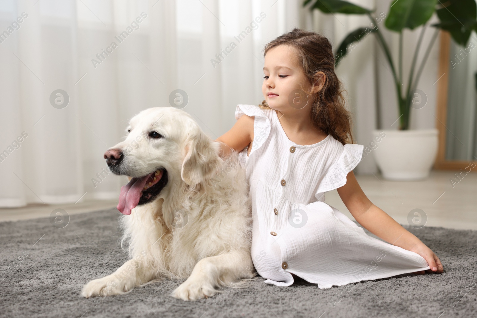 Photo of Little girl with cute dog on carpet at home