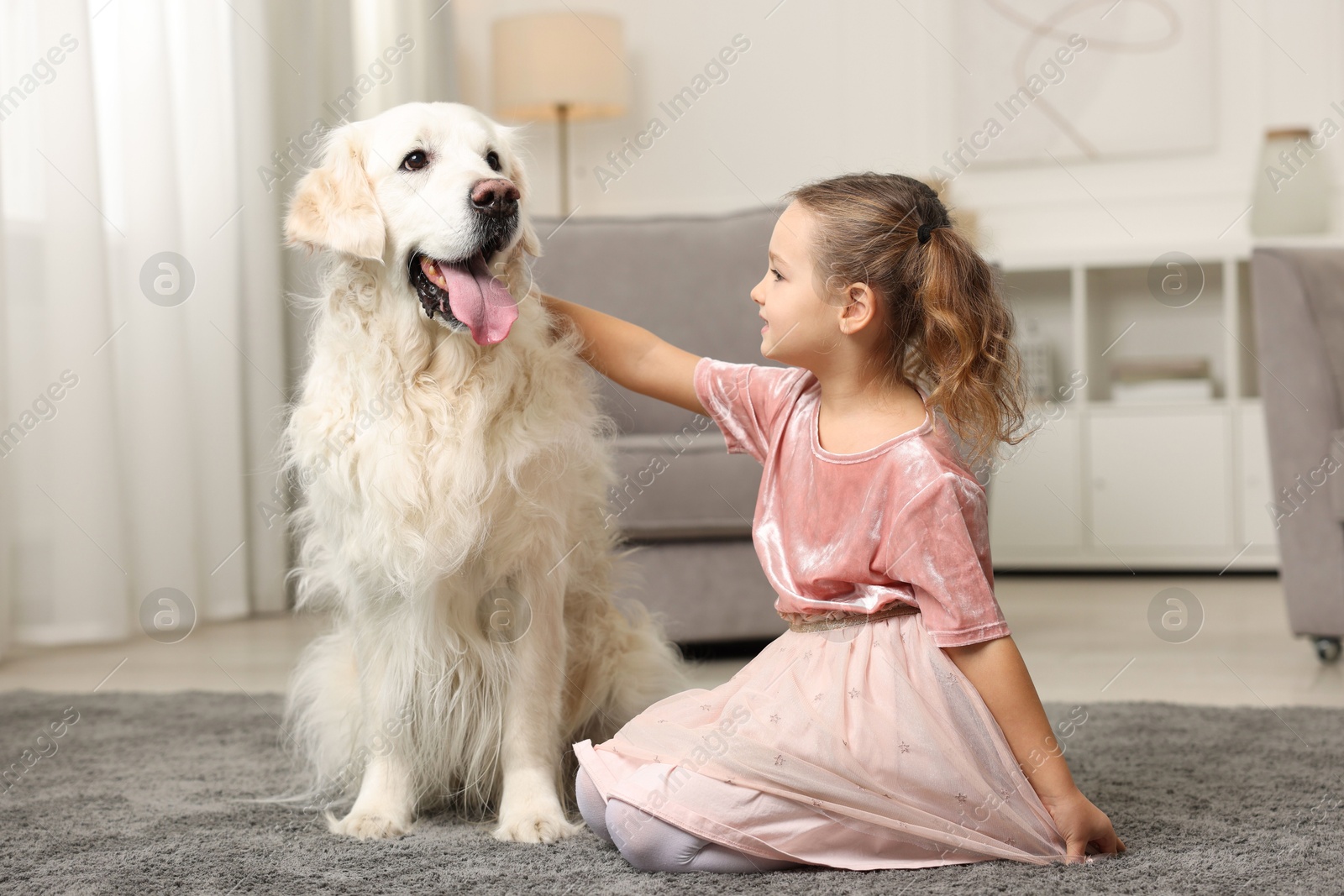 Photo of Little girl with cute dog on carpet at home