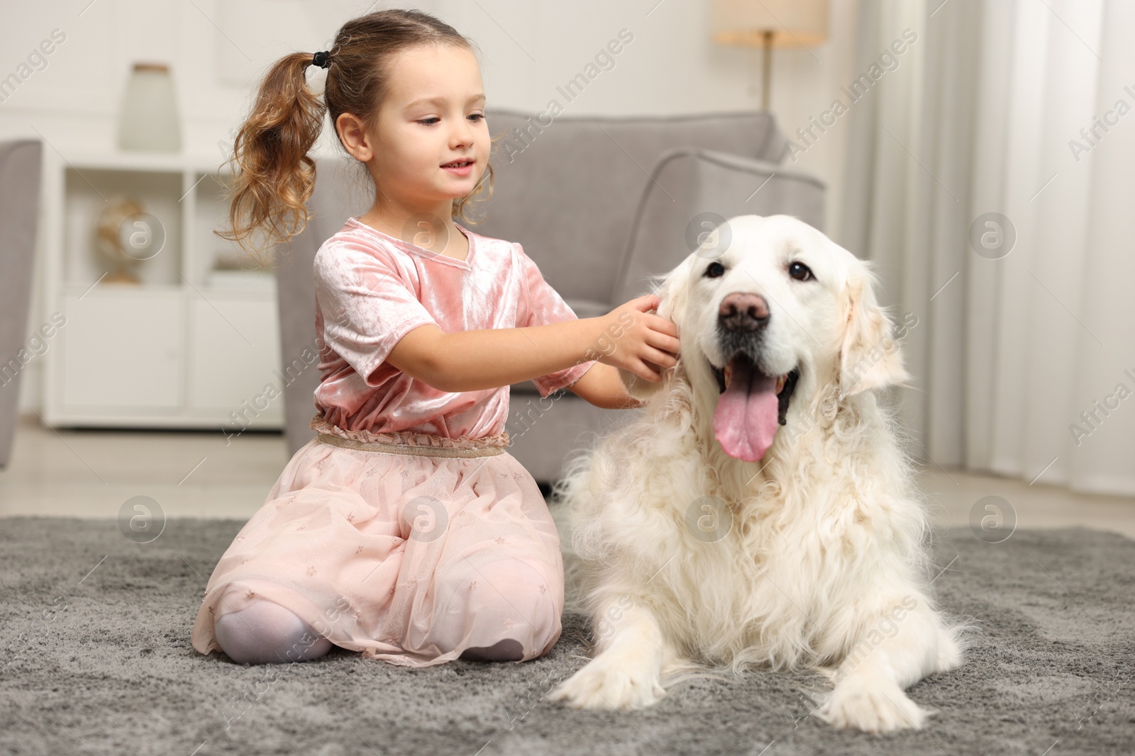 Photo of Little girl with cute dog on carpet at home