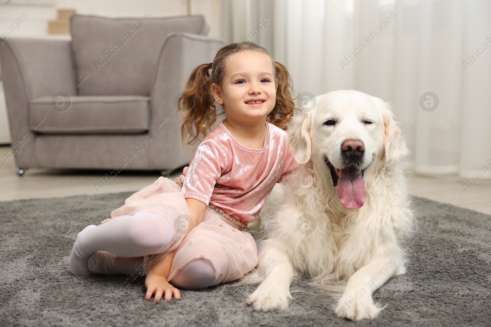 Photo of Little girl with cute dog on carpet at home