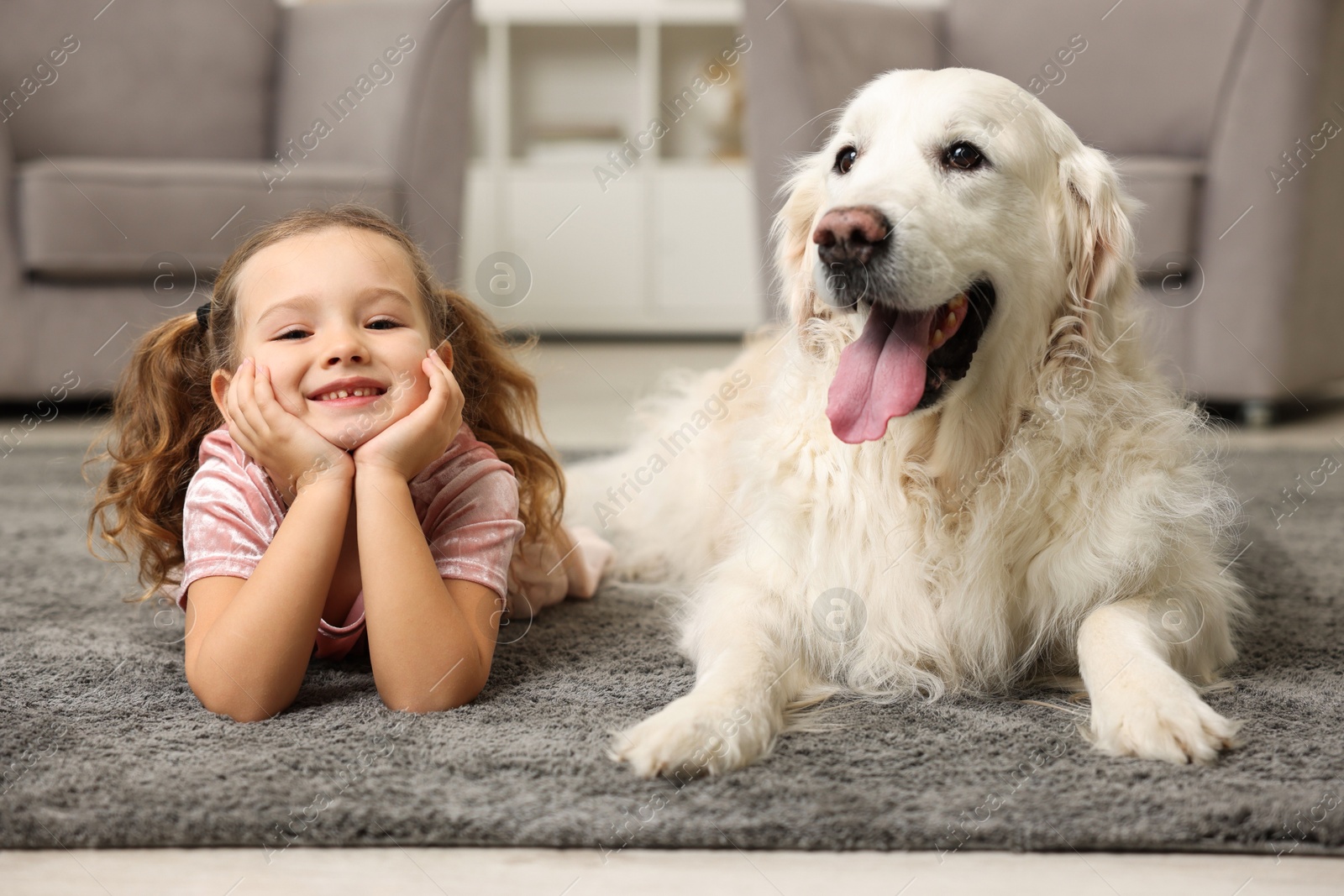 Photo of Little girl with cute dog on carpet at home