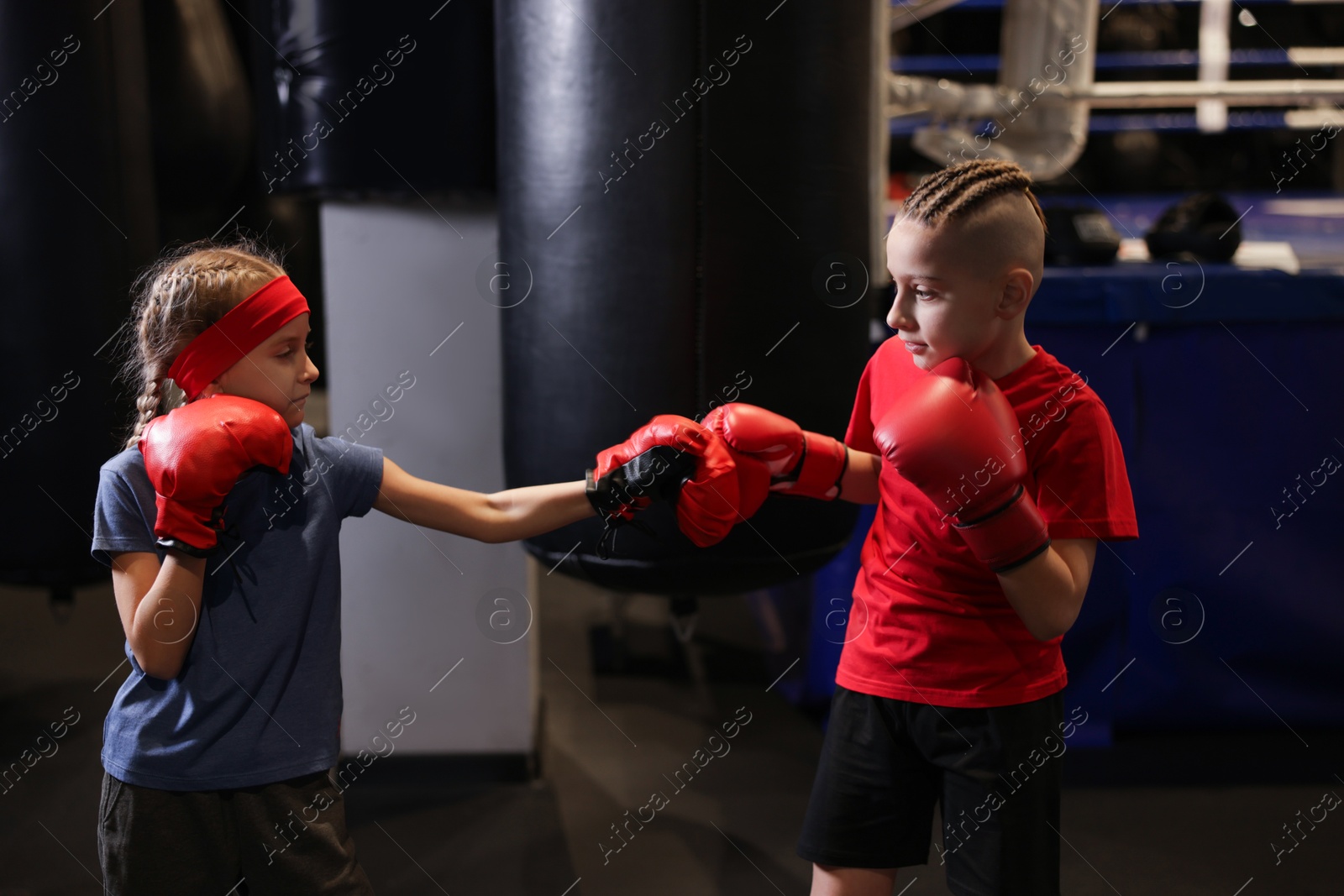 Photo of Children having boxing practice in training center