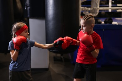 Photo of Children having boxing practice in training center