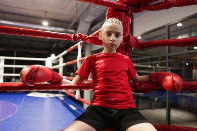 Photo of Boy sitting in his corner of boxing ring