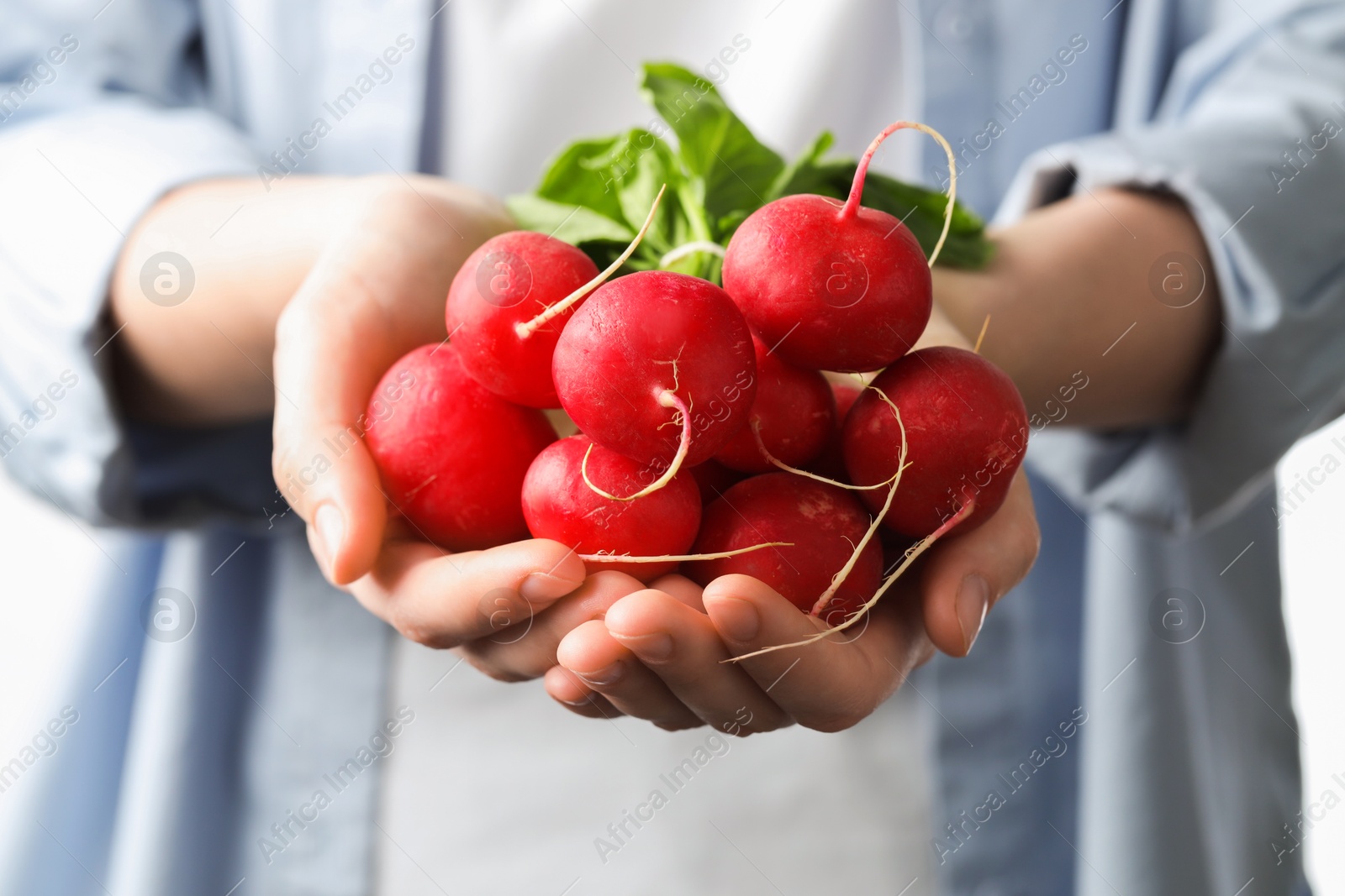 Woman with bunch of fresh radishes on white background, closeup Photo of Woman with bunch of fresh radishes on white background, closeup