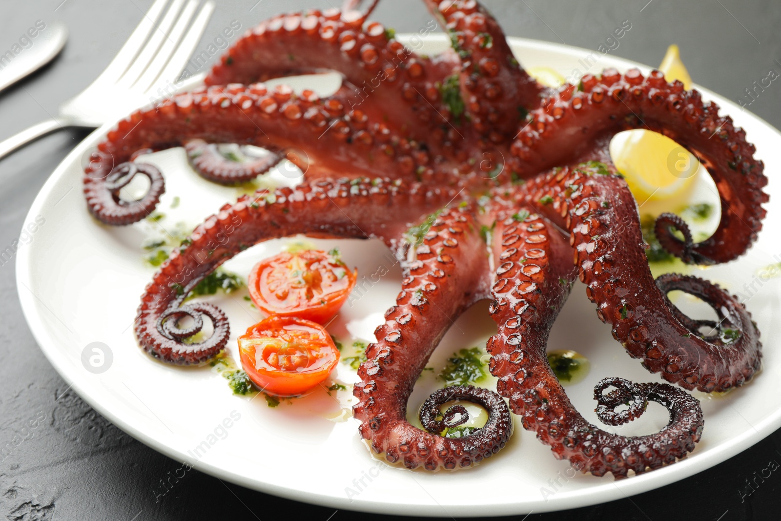 Fried octopus with herb sauce and tomatoes on dark textured table, closeup Photo of Fried octopus with herb sauce and tomatoes on dark textured table, closeup