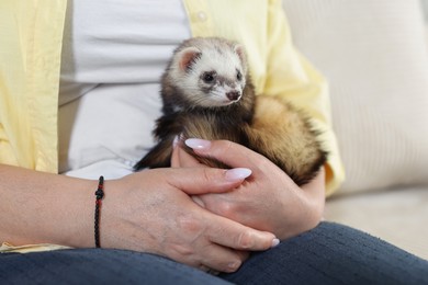 Photo of Woman with cute ferret on sofa, closeup