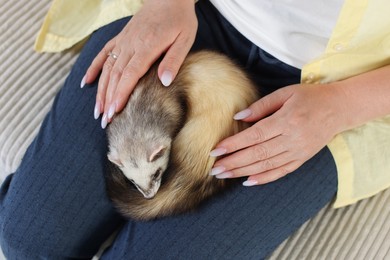 Photo of Woman with cute ferret on sofa, above view