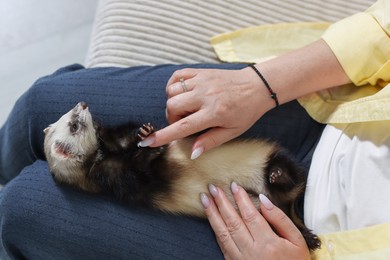 Photo of Woman with cute ferret on sofa, above view