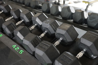 Photo of Different many dumbbells in gym. Sport equipment