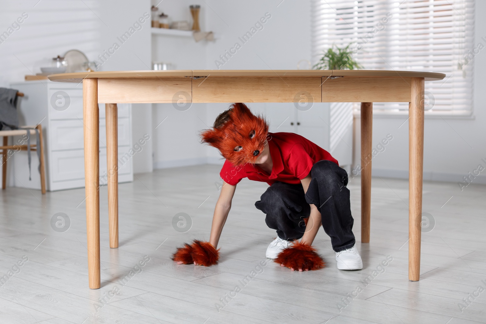 Photo of Quadrobics. Boy wearing fox mask and gloves under table indoors