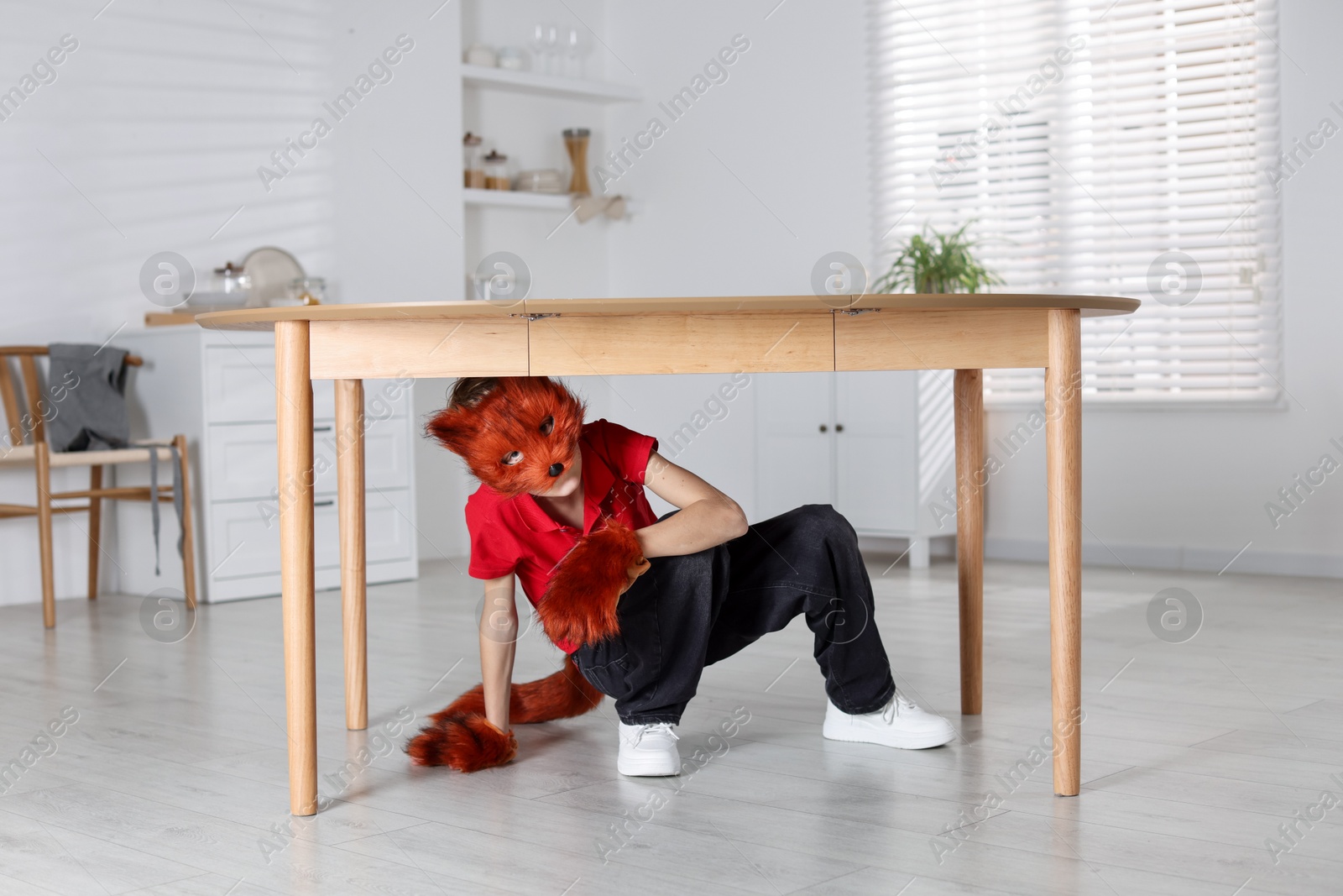 Photo of Quadrobics. Boy wearing fox mask, tail and gloves under table indoors