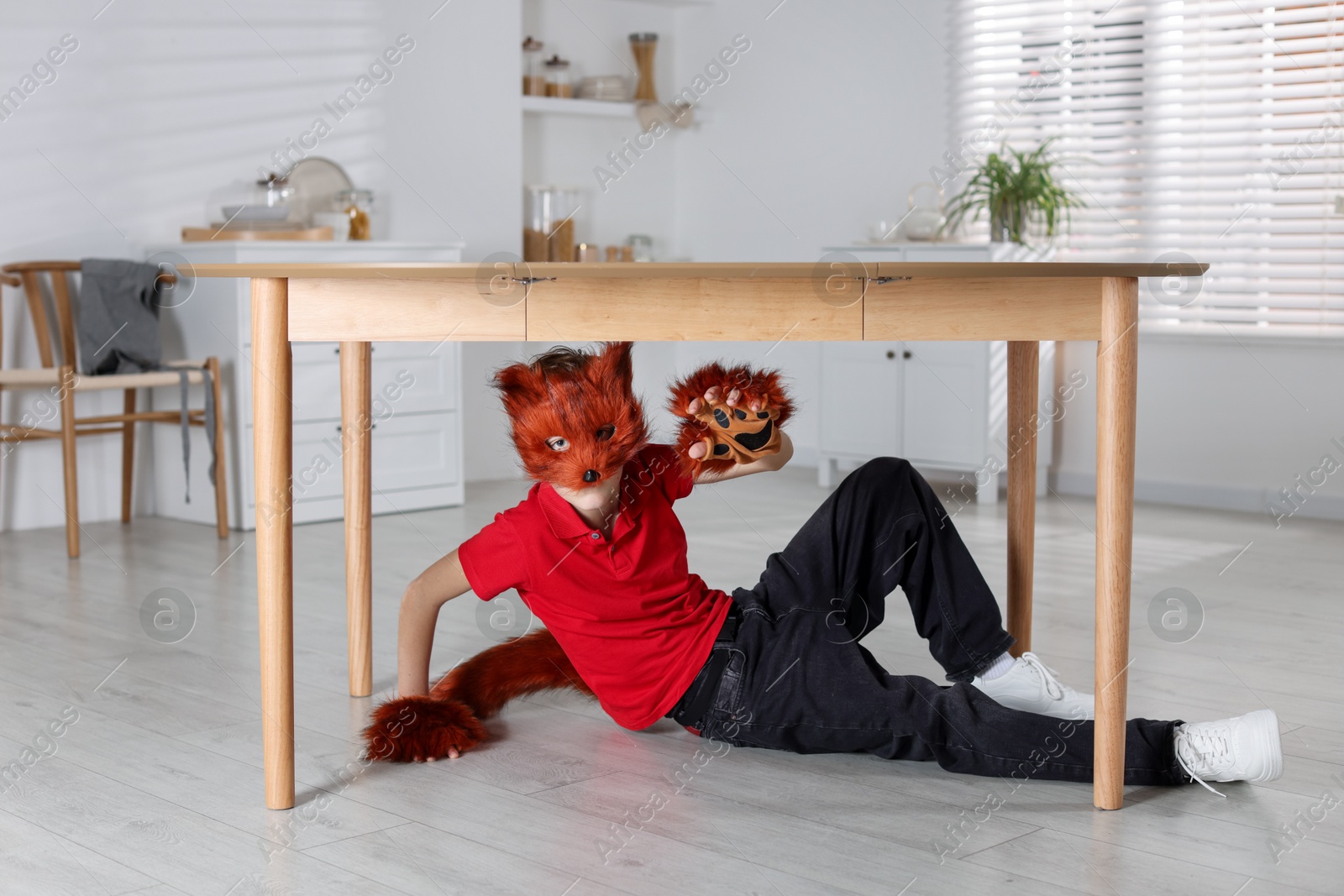 Photo of Quadrobics. Boy wearing fox mask, tail and gloves under table indoors