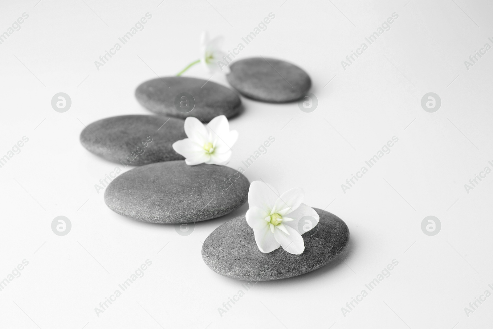 Photo of Spa stones and beautiful flowers on white background, closeup