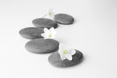 Spa stones and beautiful flowers on white background, closeup