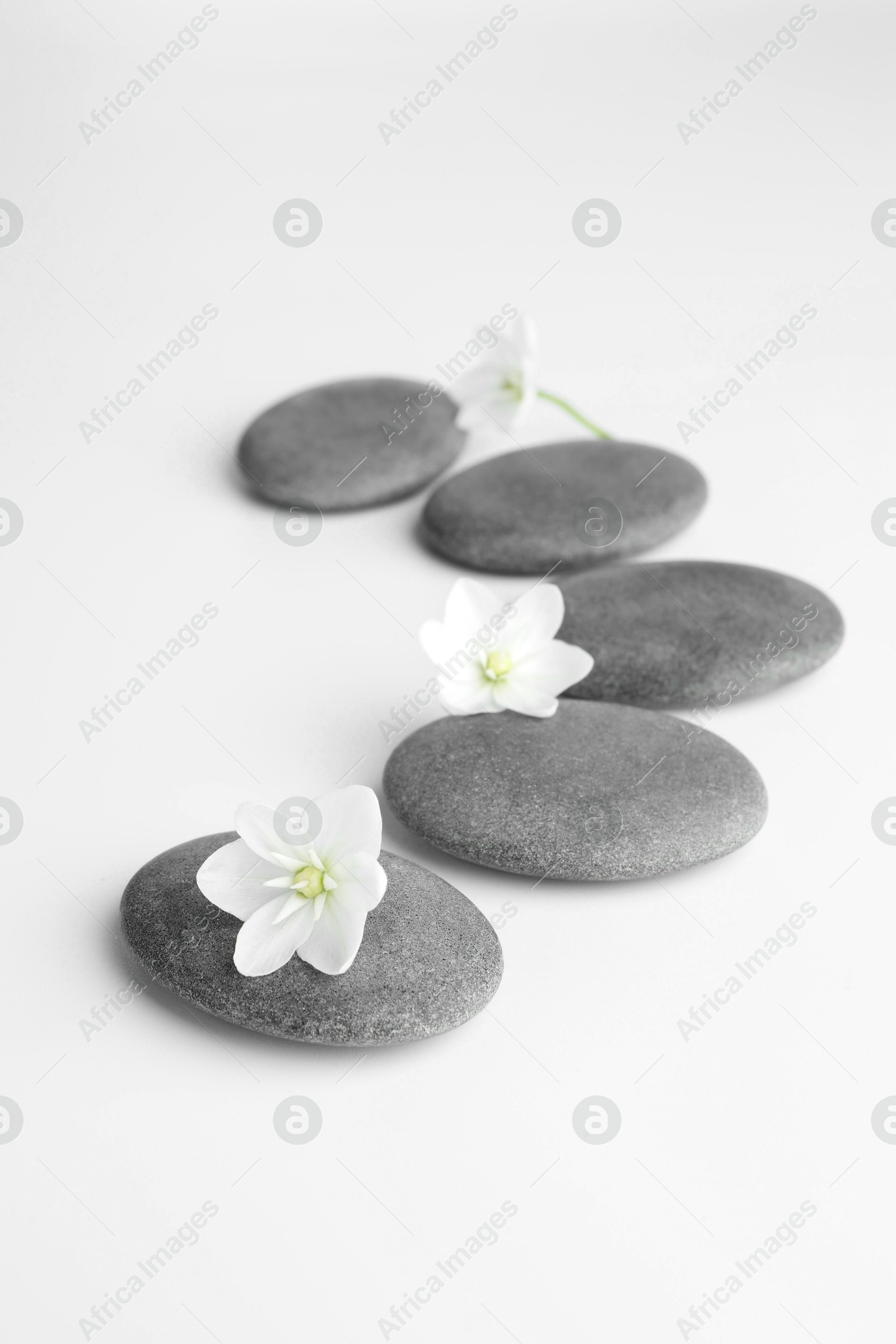 Photo of Spa stones and beautiful flowers on white background, closeup