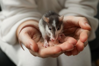 Photo of Woman with adorable little rat indoors, closeup