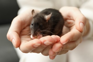 Photo of Woman with adorable little rat indoors, closeup