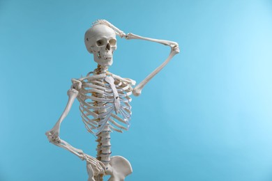 Photo of Artificial human skeleton model on light blue background, space for text