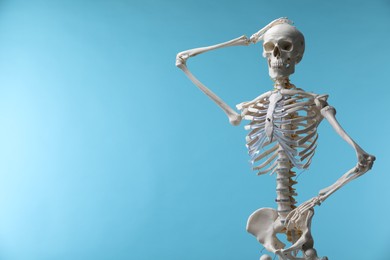 Photo of Artificial human skeleton model on light blue background, space for text