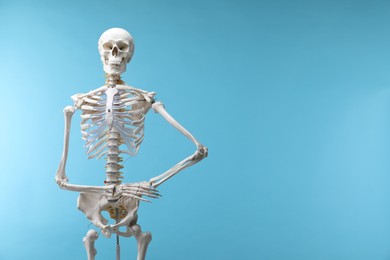 Photo of Artificial human skeleton model on light blue background, space for text