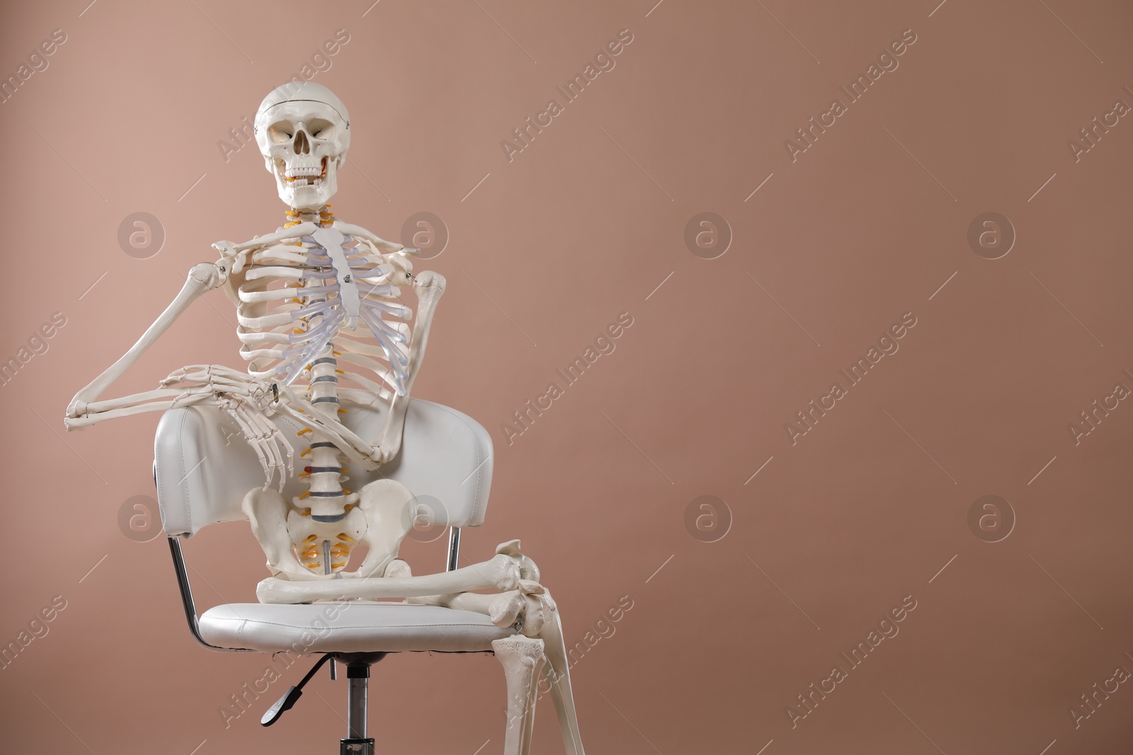 Photo of Artificial human skeleton model sitting on chair against light brown background, space for text