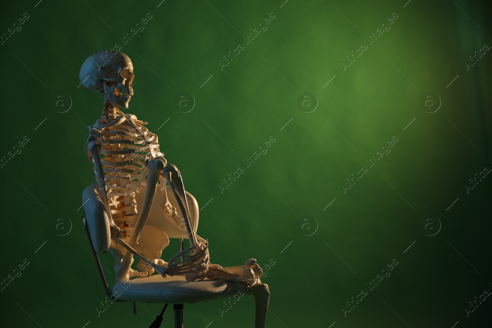 Photo of Artificial human skeleton model sitting on chair against green background, space for text