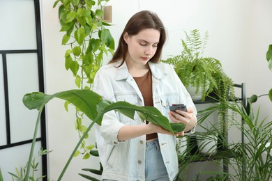 Photo of Woman using houseplant recognition application on smartphone indoors