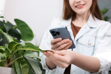 Photo of Woman using houseplant recognition application on smartphone indoors, closeup