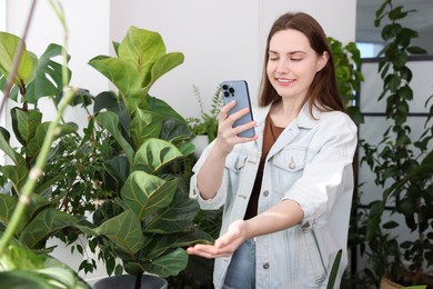 Photo of Woman using houseplant recognition application on smartphone indoors