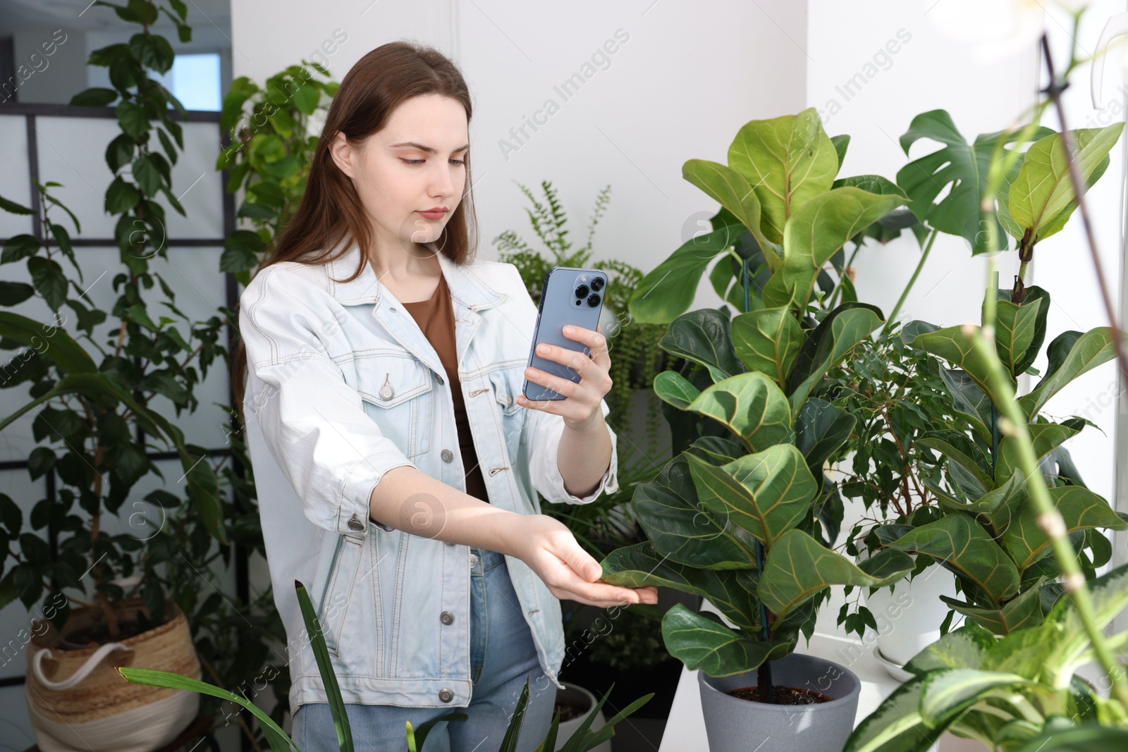 Photo of Woman using houseplant recognition application on smartphone indoors