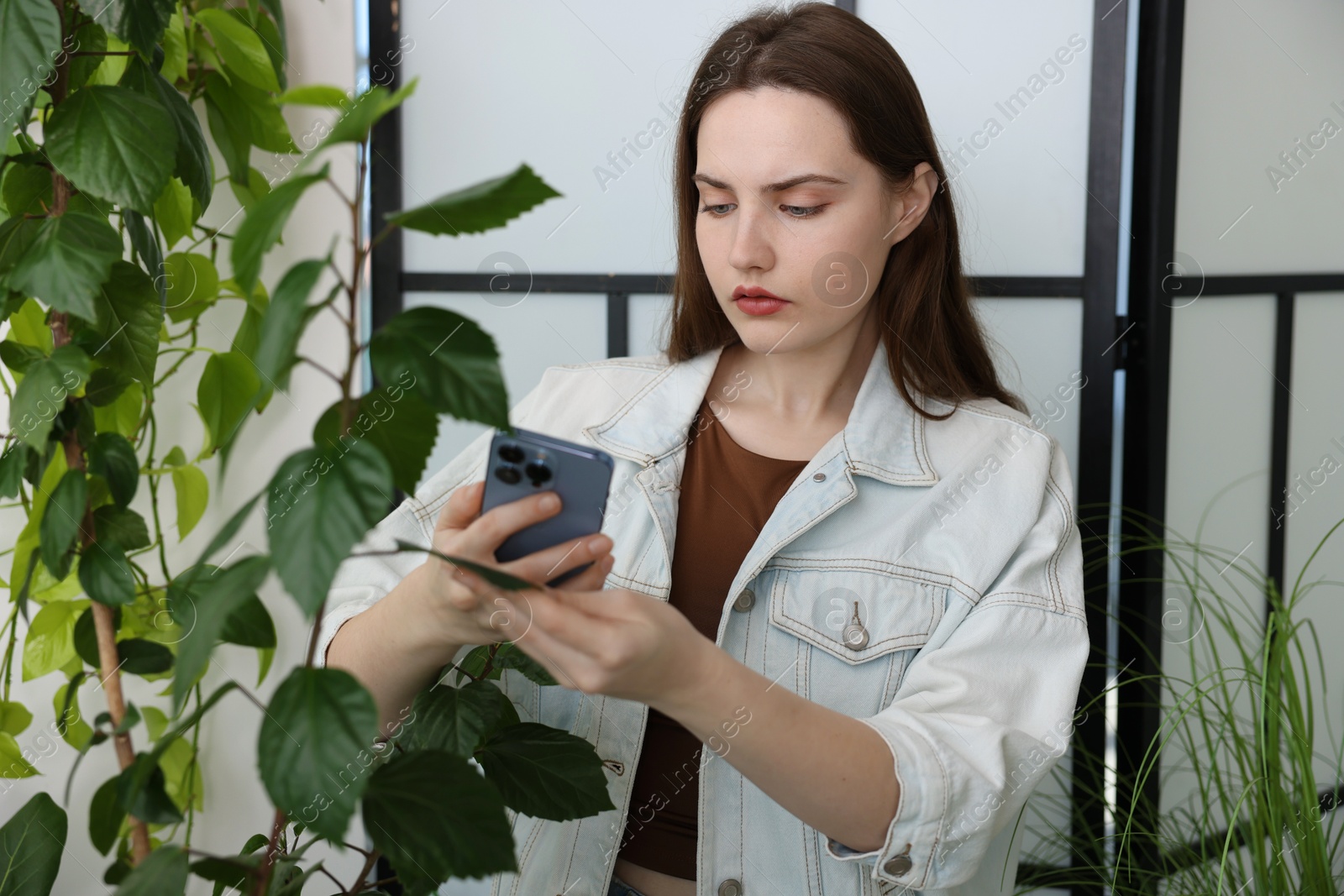 Photo of Woman using houseplant recognition application on smartphone indoors