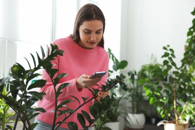 Photo of Woman using houseplant recognition application on smartphone indoors