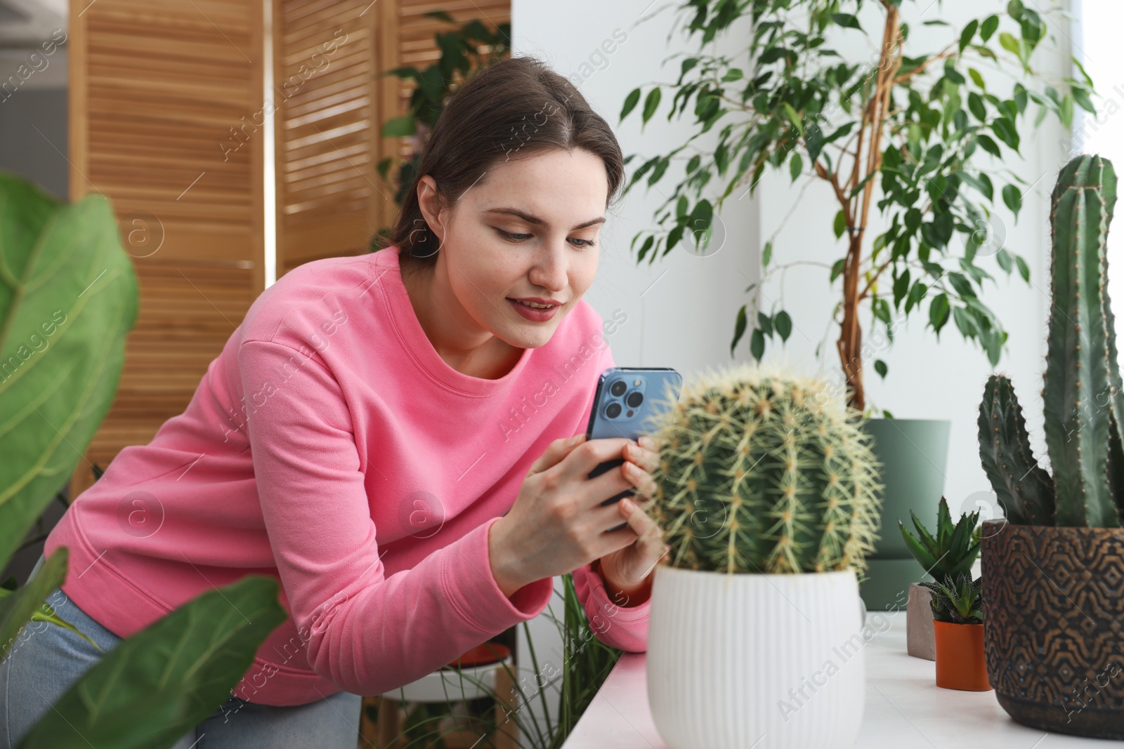 Photo of Woman using houseplant recognition application on smartphone indoors