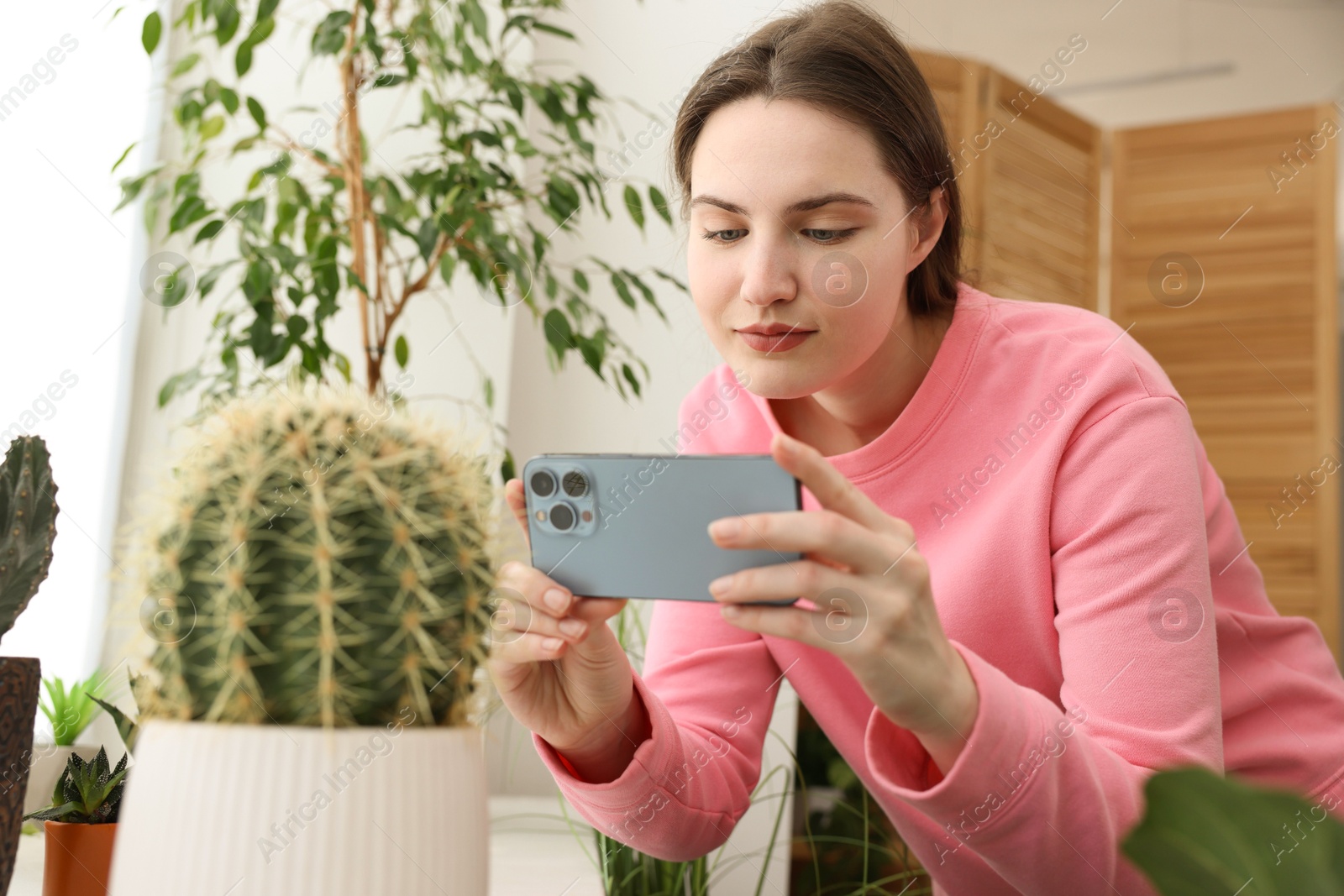 Photo of Woman using houseplant recognition application on smartphone indoors