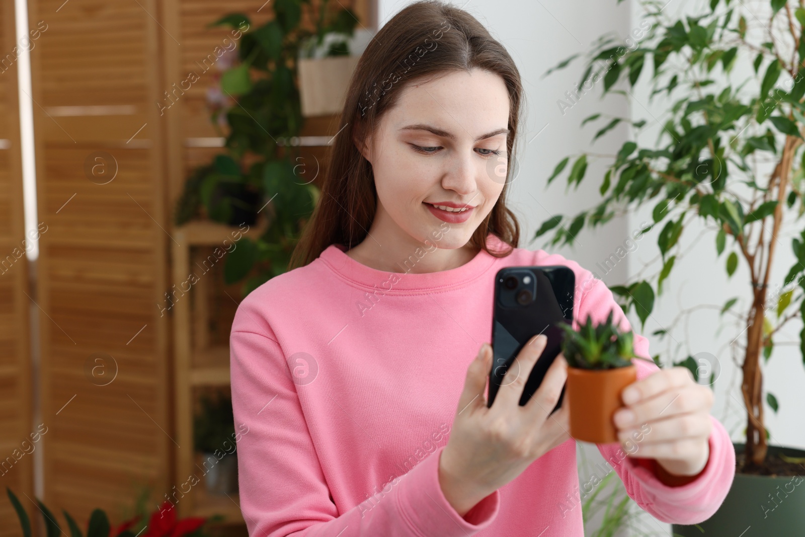 Photo of Woman using houseplant recognition application on smartphone indoors