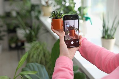 Woman using houseplant recognition application on smartphone indoors, closeup