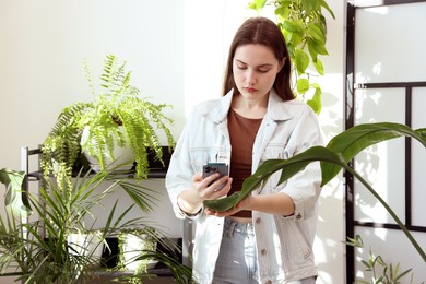 Photo of Woman using houseplant recognition application on smartphone indoors