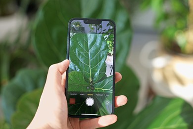 Photo of Woman using houseplant recognition application on smartphone indoors, closeup