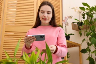 Woman using houseplant recognition application on smartphone indoors