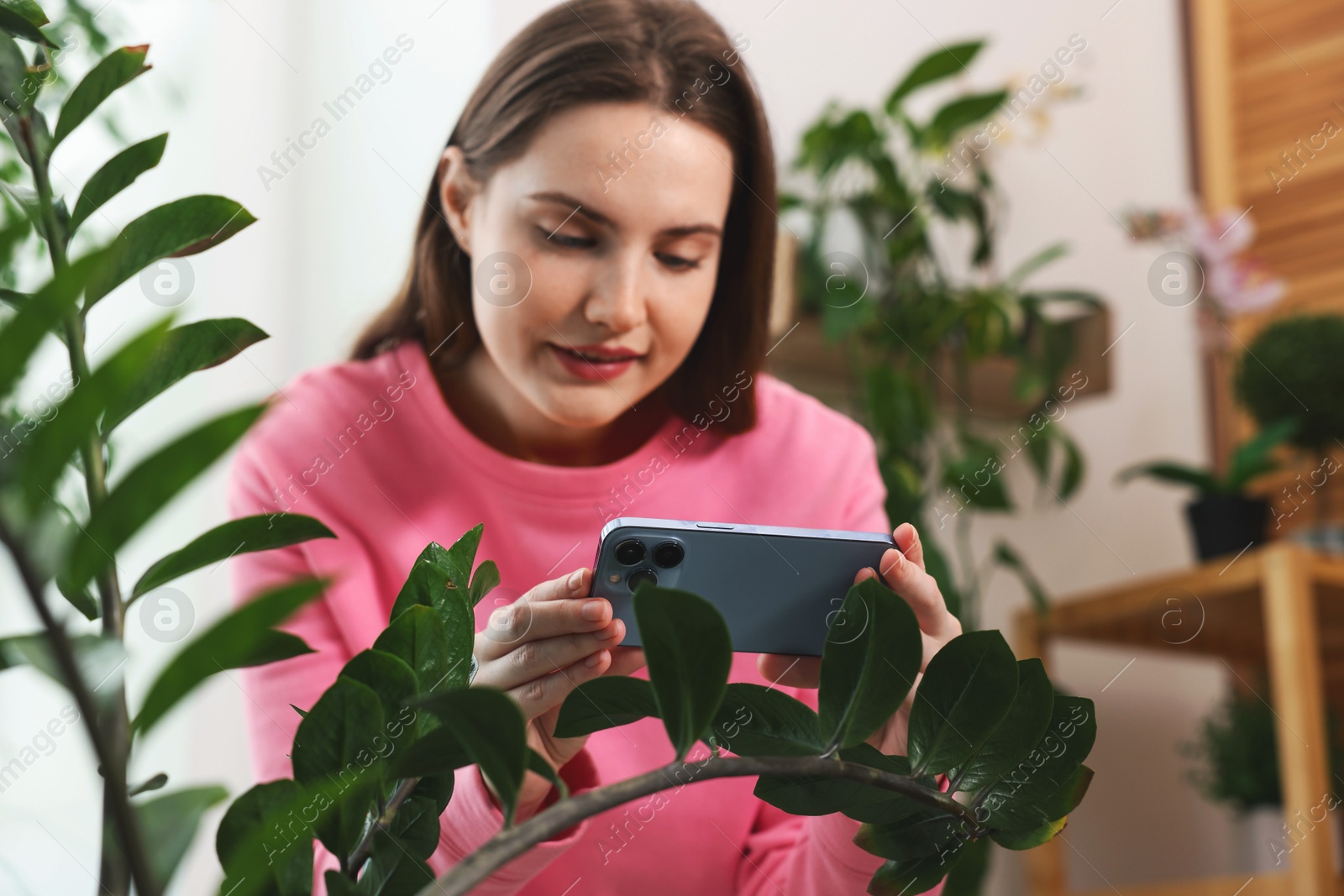 Photo of Woman using houseplant recognition application on smartphone indoors