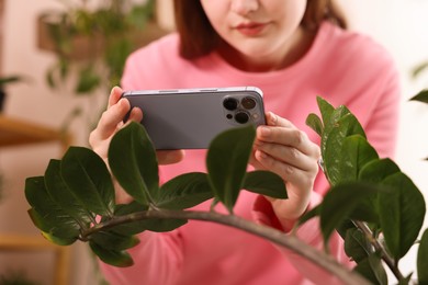 Woman using houseplant recognition application on smartphone indoors, closeup