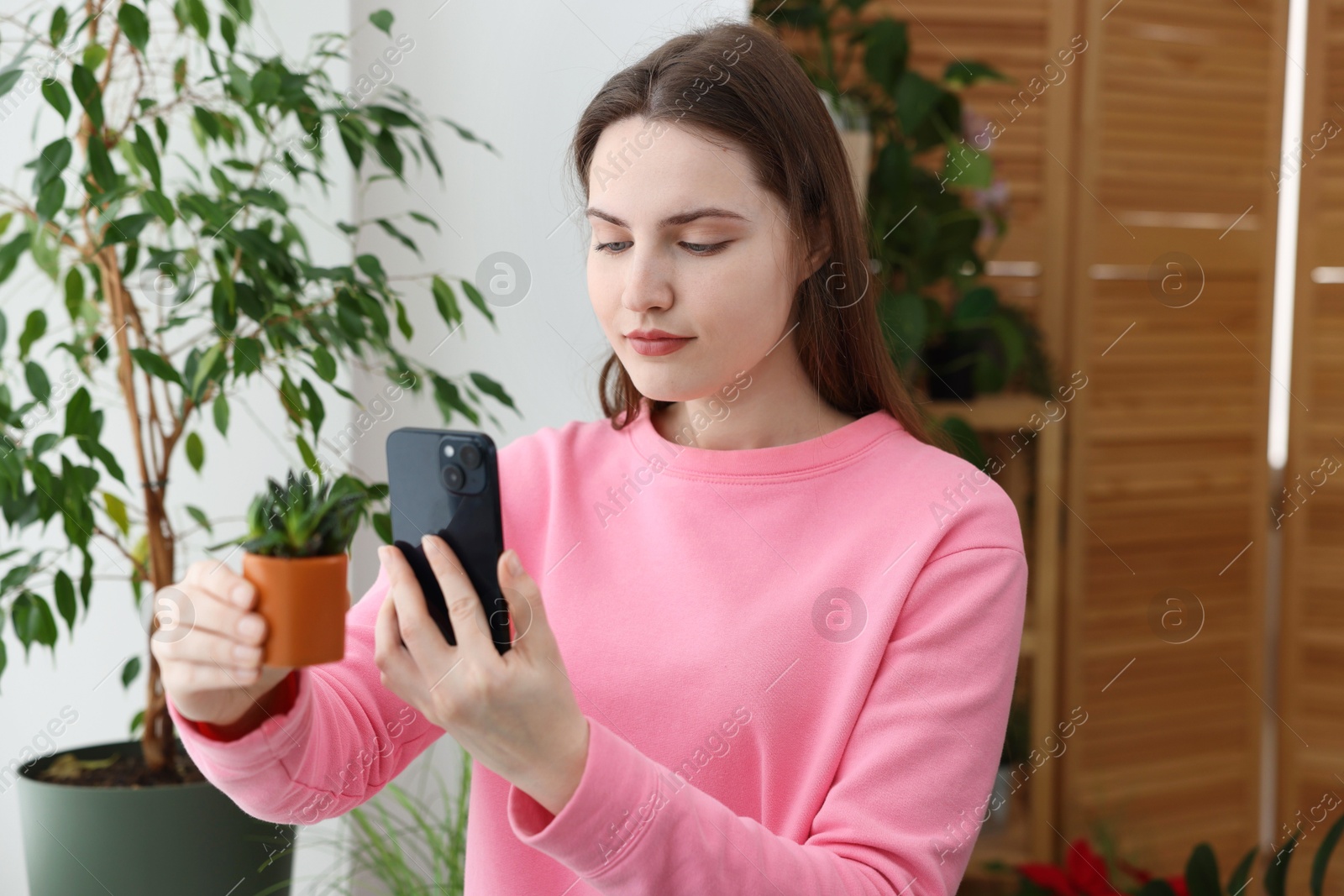 Photo of Woman using houseplant recognition application on smartphone indoors