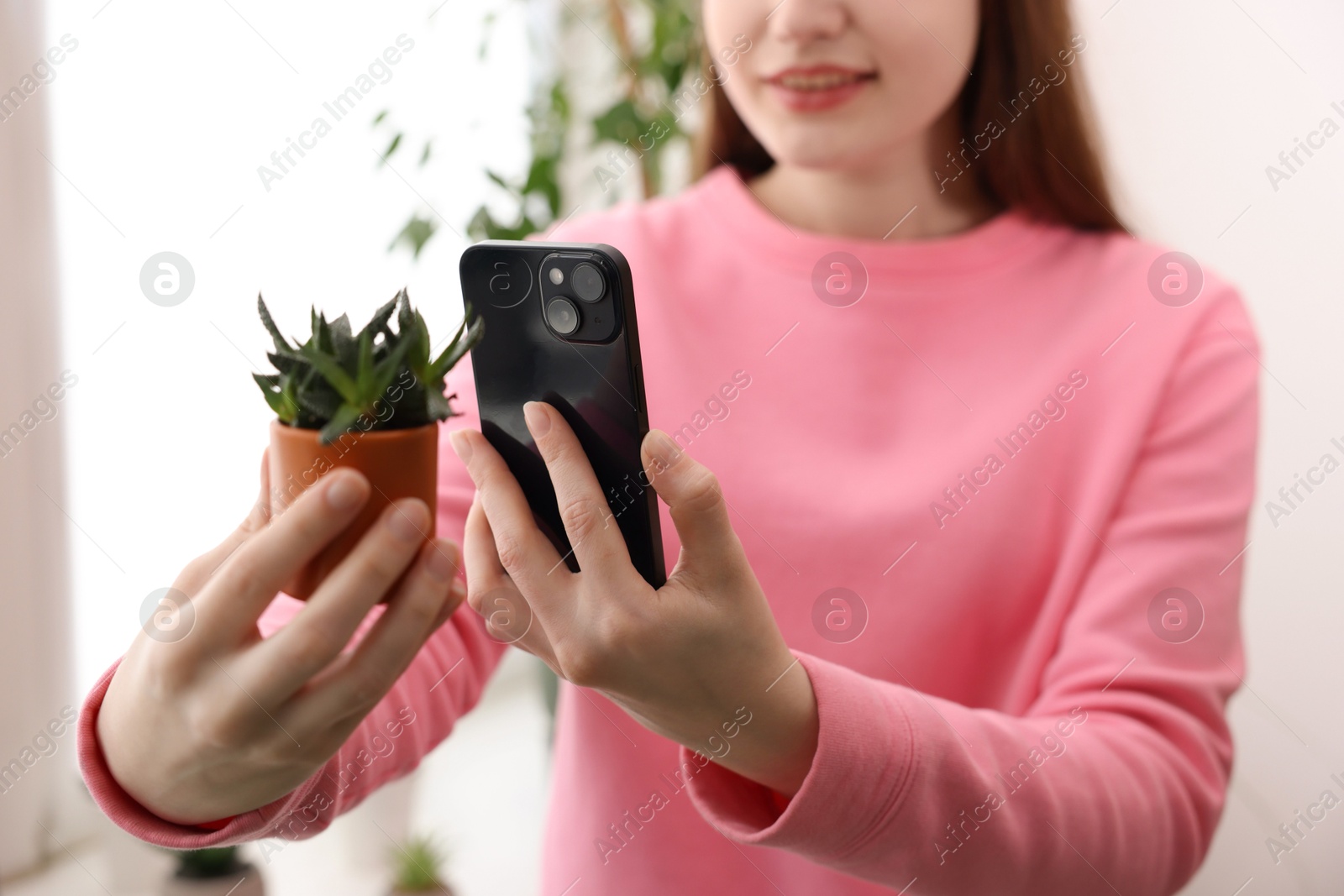 Photo of Woman using houseplant recognition application on smartphone indoors, closeup