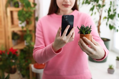 Photo of Woman using houseplant recognition application on smartphone indoors, closeup