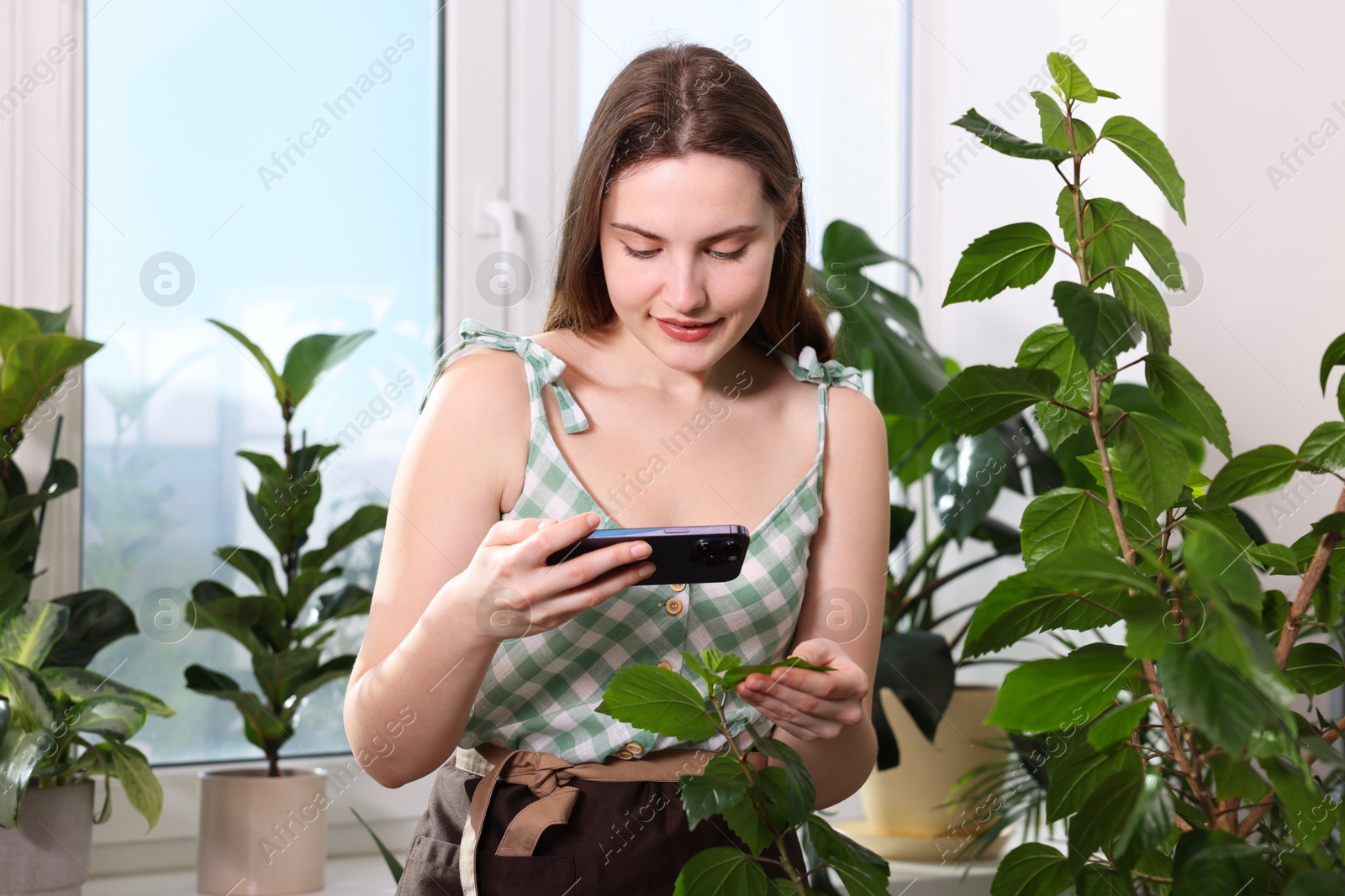 Photo of Woman using houseplant recognition application on smartphone indoors